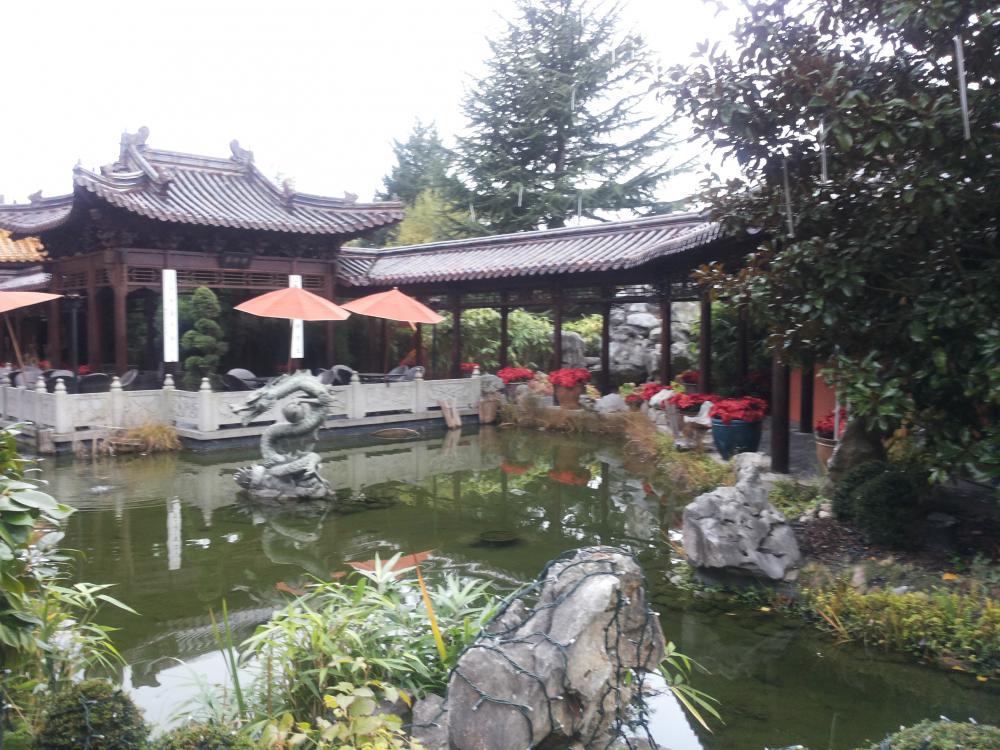 20131123_092136.jpg