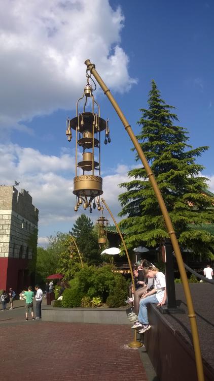WP_20150609_001.jpg