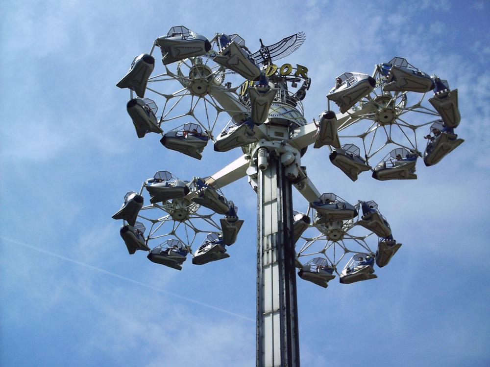 Condor_2004_02.JPG