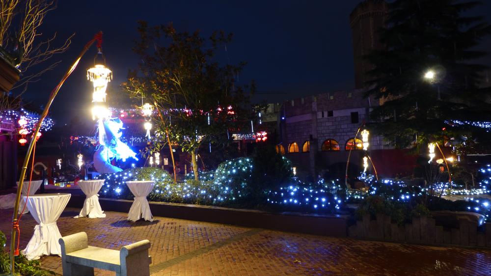 P1090144.thumb.JPG.9e7d20e2e149ad6117dda