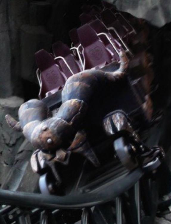 image.jpeg