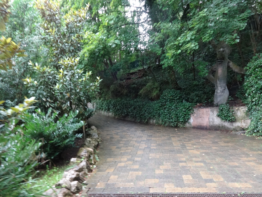 DSC05335.JPG
