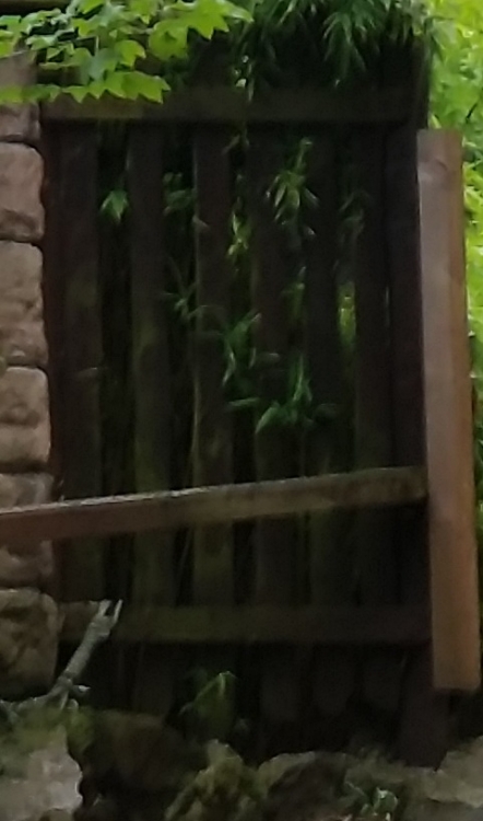 20150912_114224.jpg