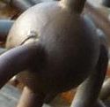 328547_1971607940108 (1).jpg