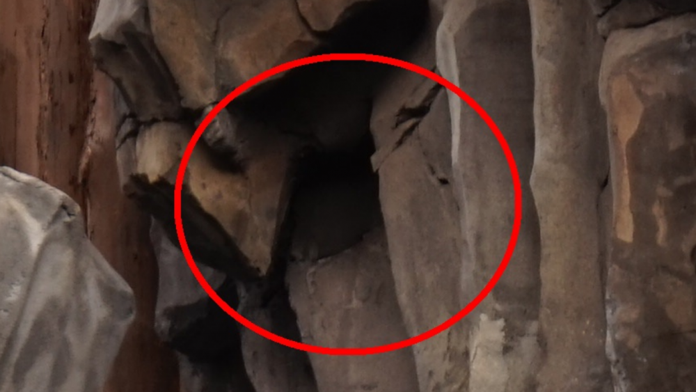Screenshot (18).png