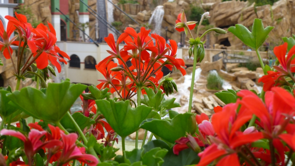 P1070542-75%.JPG