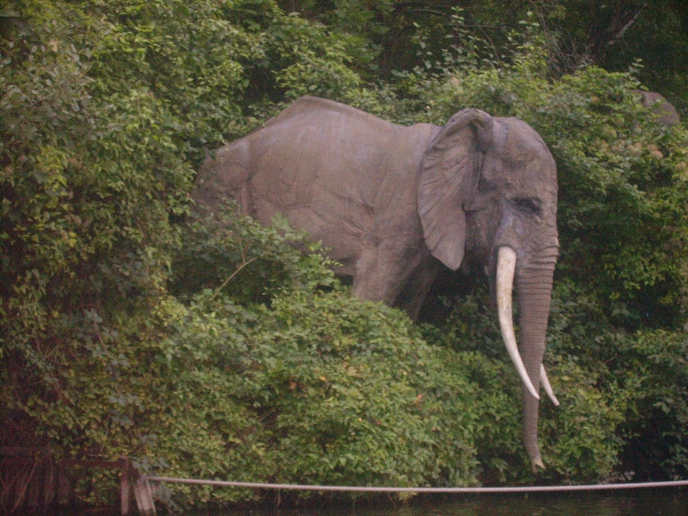 Wikinger Elefant.jpg