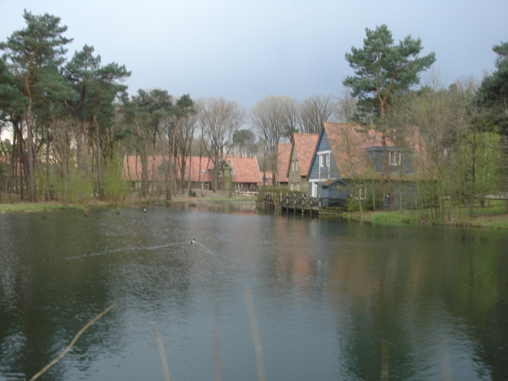 DSC00303.JPG