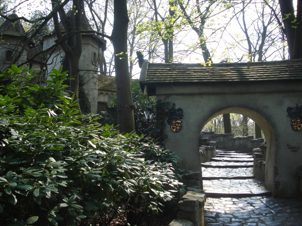 DSC00366.JPG