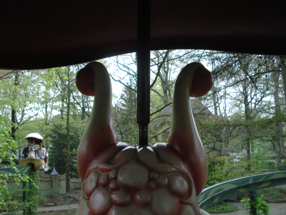 DSC00370.JPG