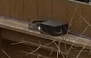 WP_20160320_014.jpg