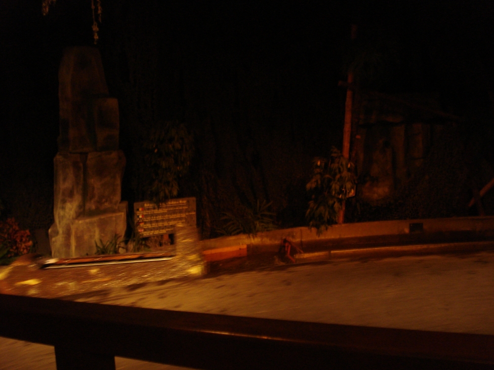 DSC00204.JPG