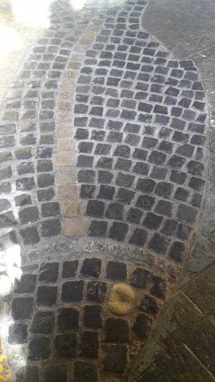 20160421_115838.jpg