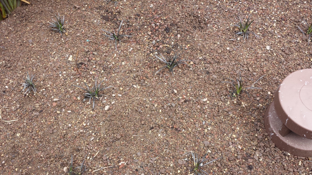 20160701_135202.jpg