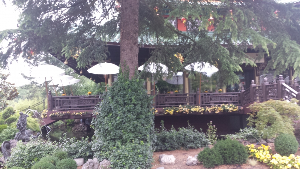 20160716_085658.jpg