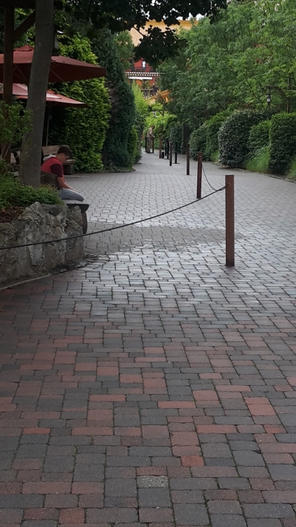 20160729_150441.jpg