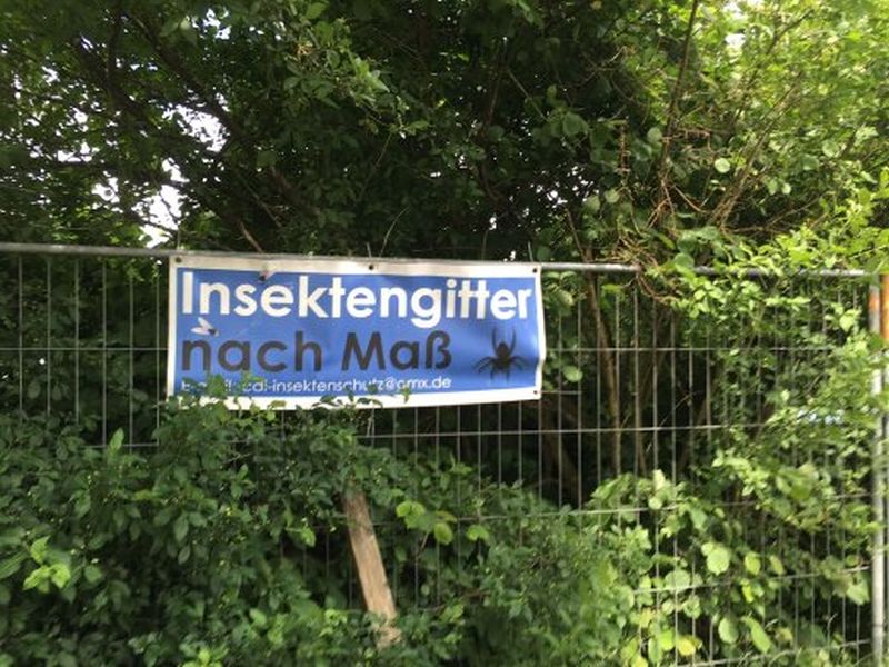 Insekt.jpg