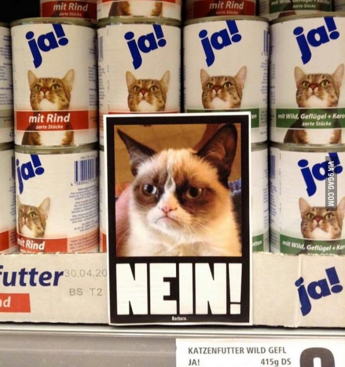 Nein.jpg
