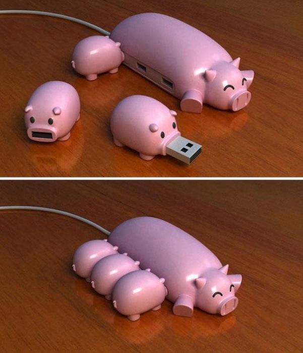 Schwein.jpg