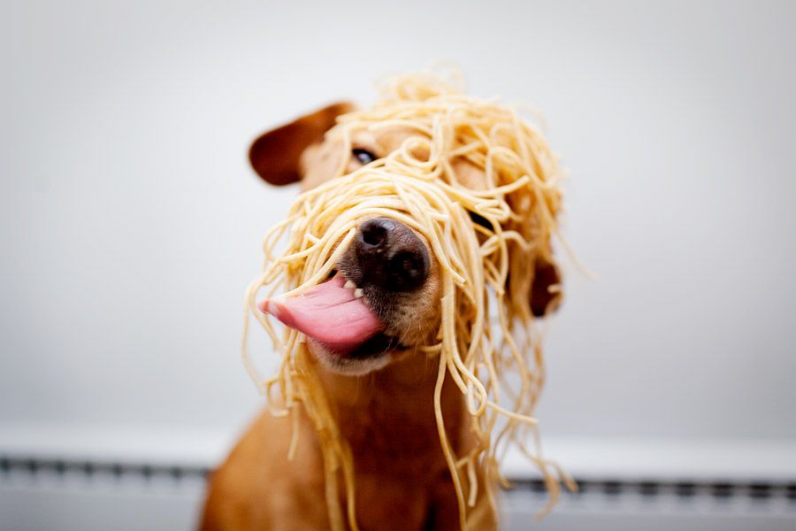 Spaghetti.jpg