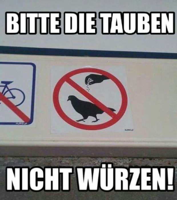 Tauben.jpg