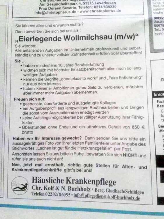 Wollmilchsau.jpg