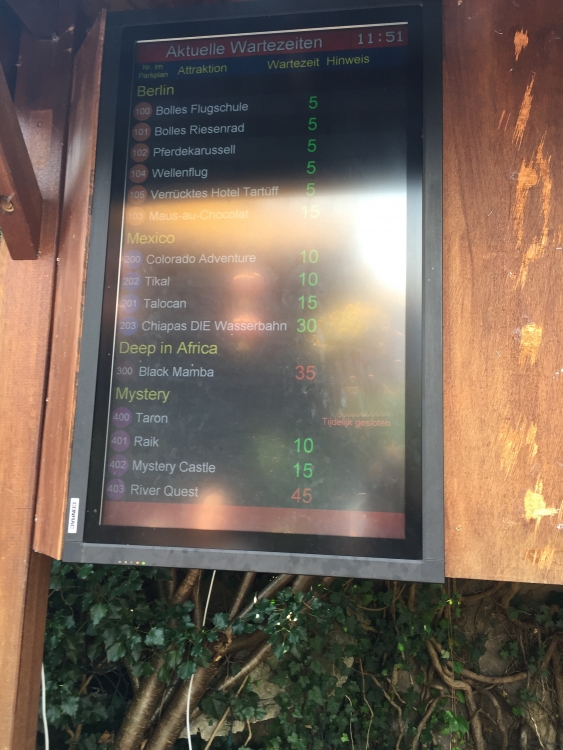image.jpeg