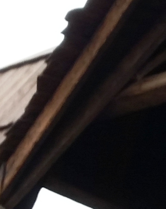 20160701_103209 - Kopie.jpg