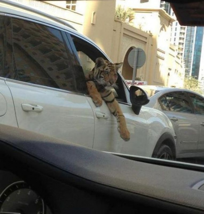 Dubai.jpg