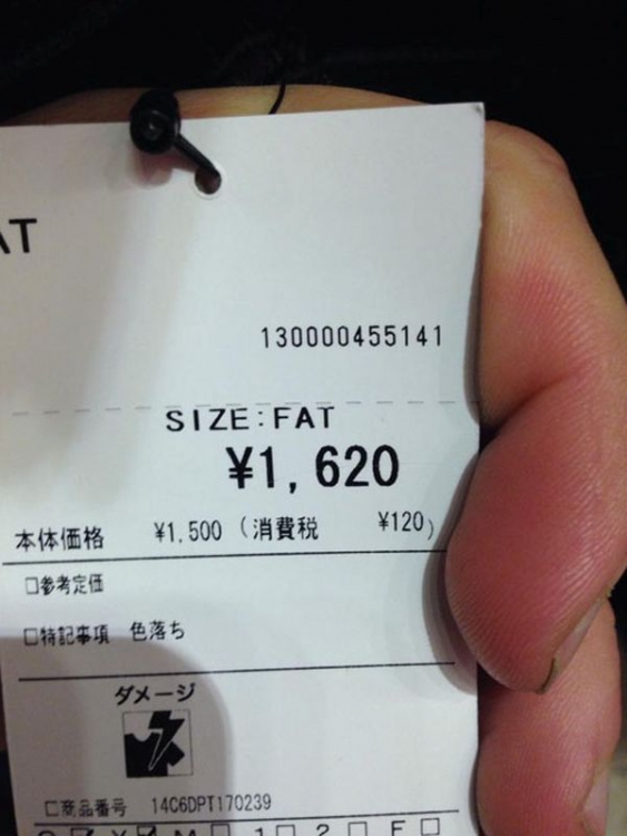 Fat.jpg