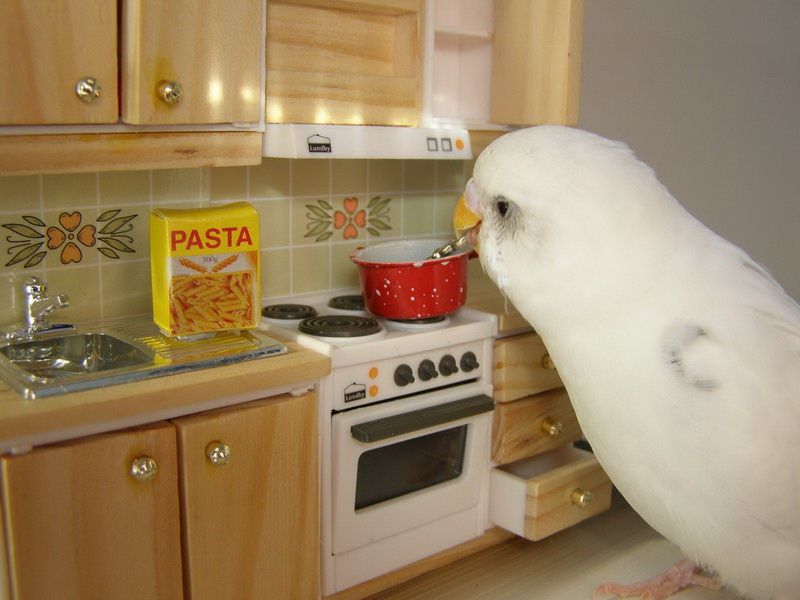 Pasta.jpg