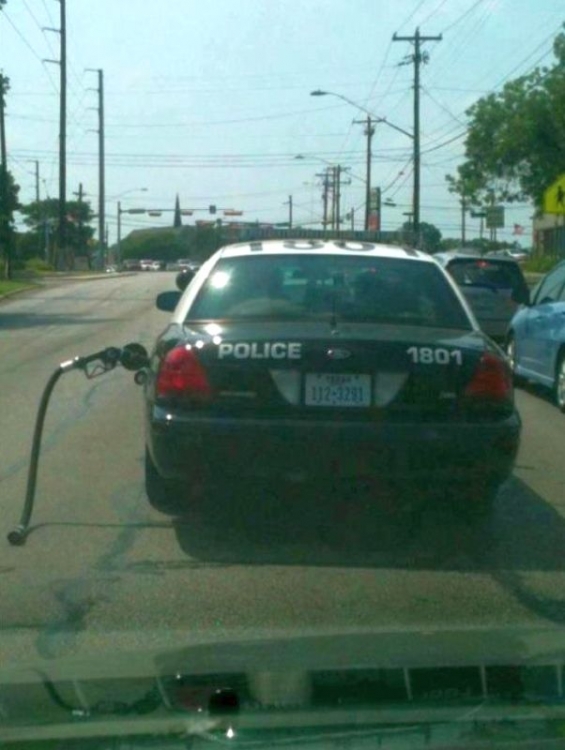 Polizei2.jpg