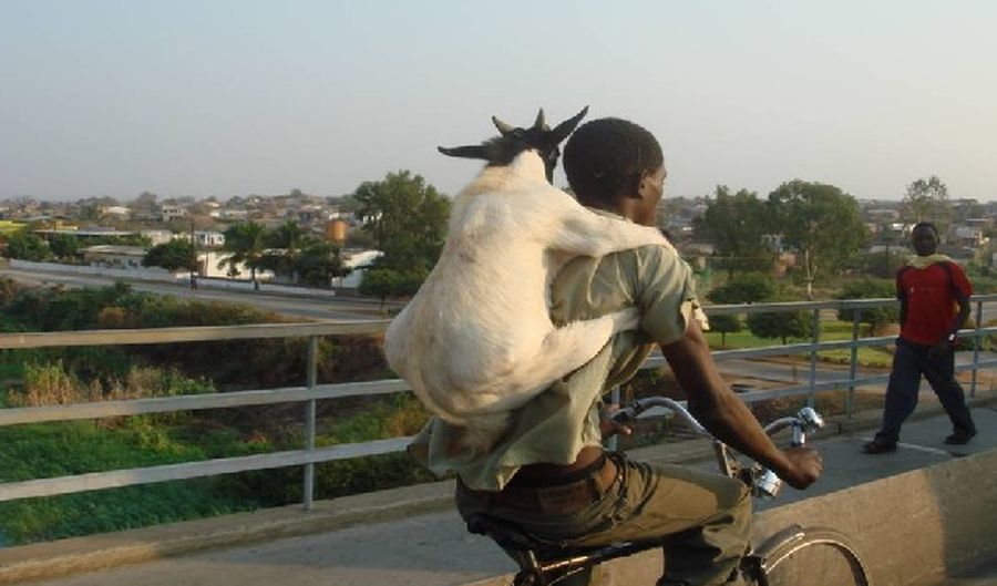 Rucksack1.jpg