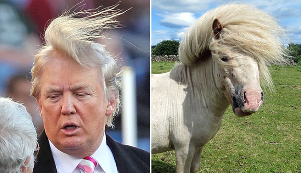 Trump3.jpg