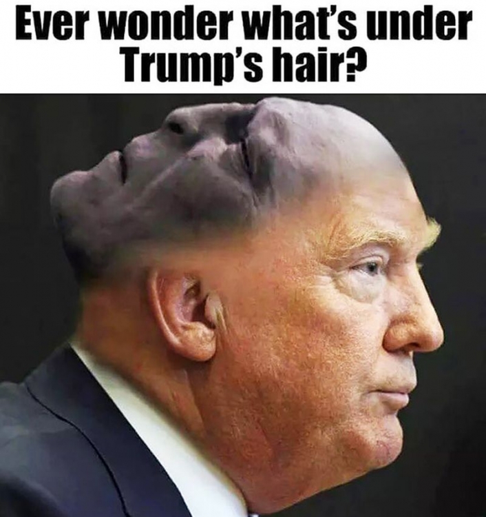 Trump4.jpg