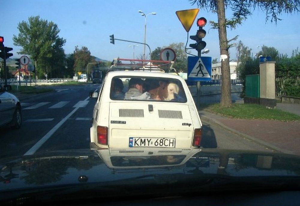 Voll2.jpg