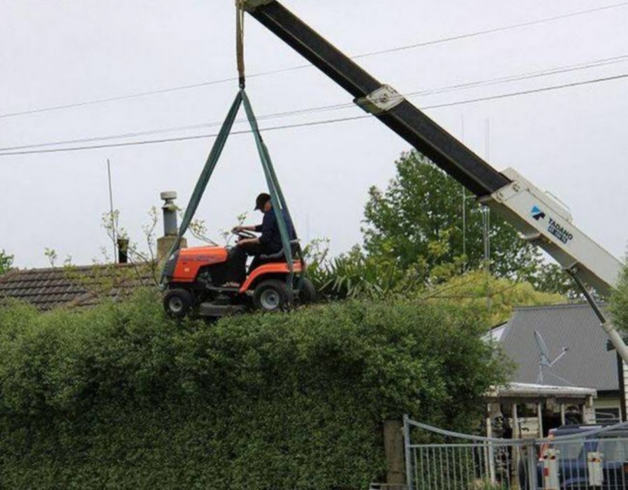 Hecke.jpg
