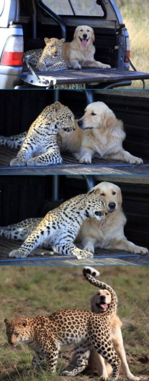 Love.jpg