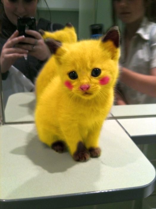 Pikachu3.jpg