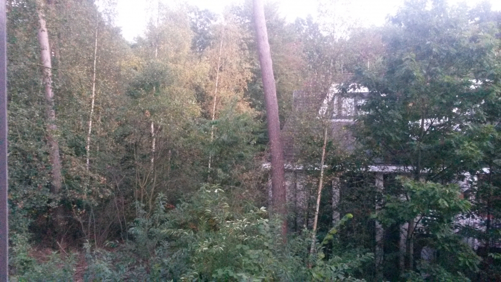 20161001_191946.jpg