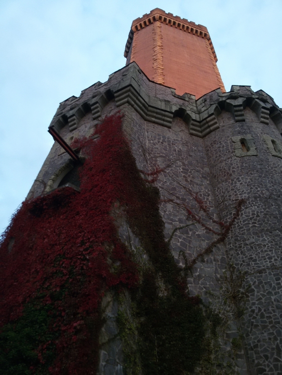 20161008_184028.jpg