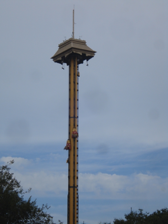 DSC01175.JPG