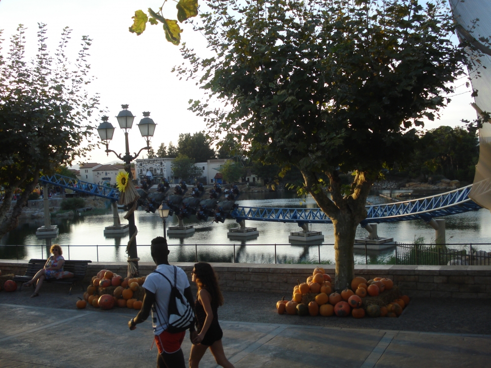 DSC01235.JPG