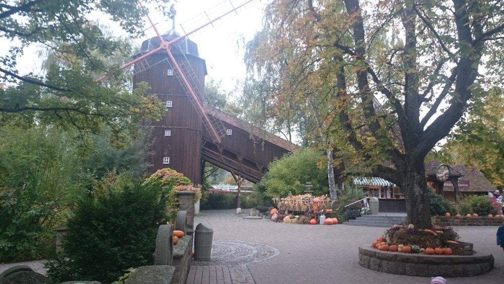 DSC_0002.JPG