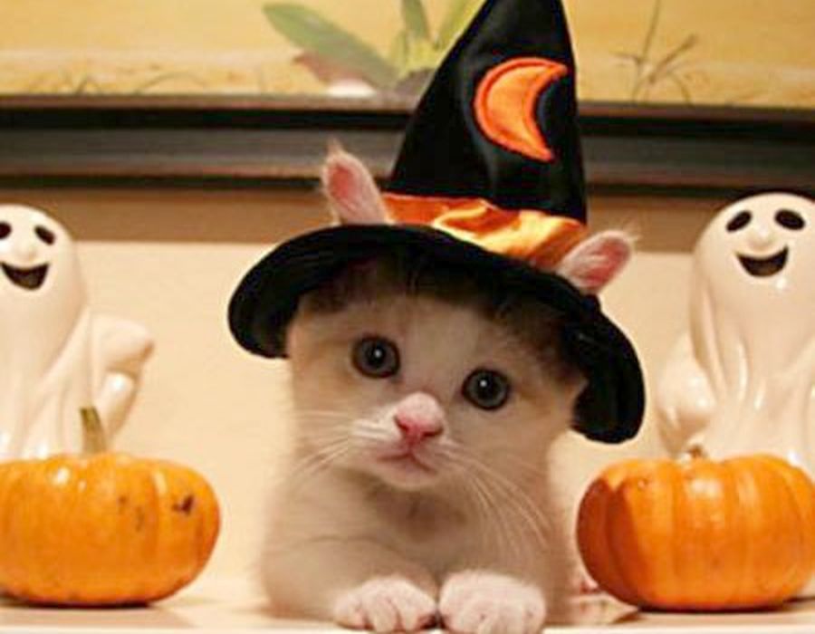 Helloween.jpg