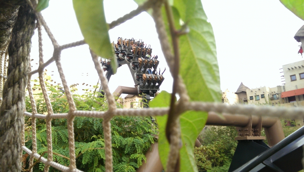 IMAG4989_BURST015.jpg