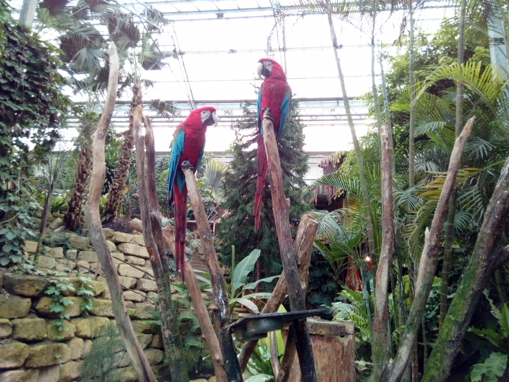 IMG_20161030_165229.jpg