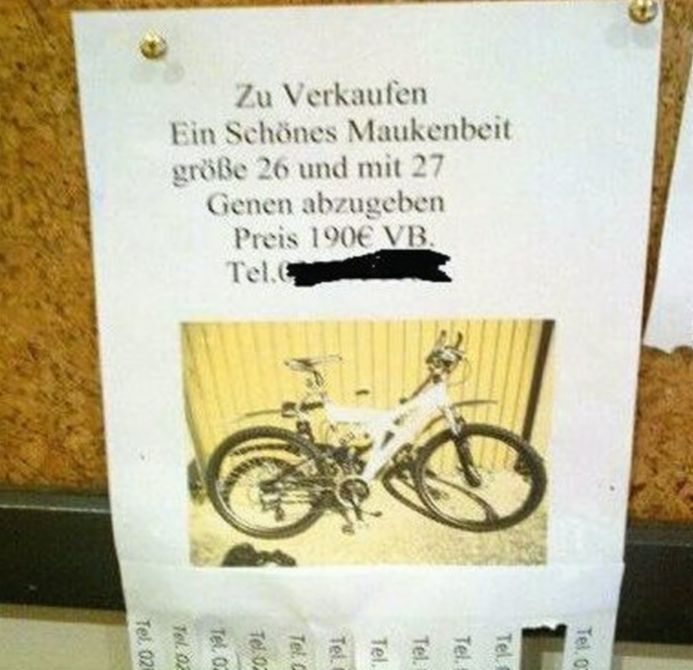 Maukenbeit.jpg