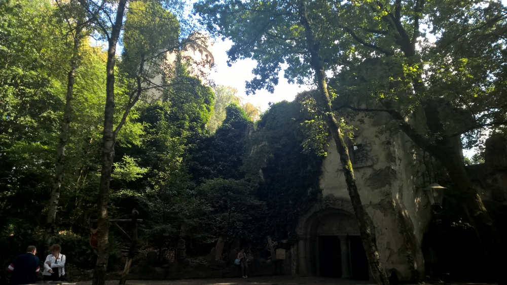 WP_20160916_14_42_15_Rich_LI.jpg