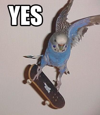 Yes.jpg